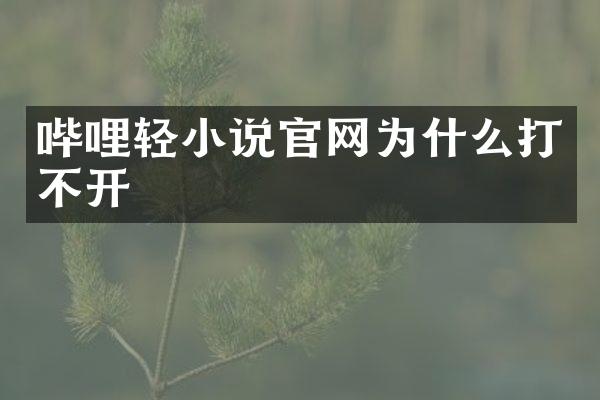 哔哩轻小说官网为什么打不开