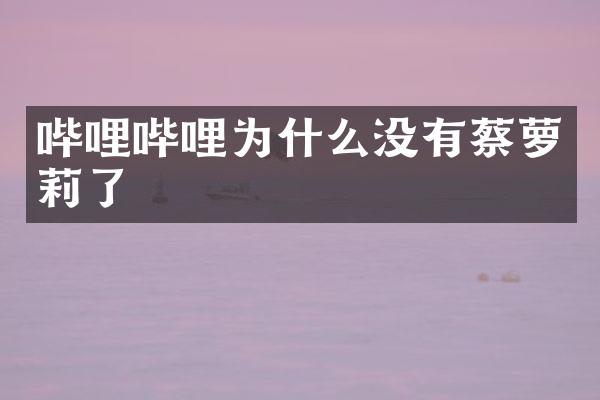哔哩哔哩为什么没有了