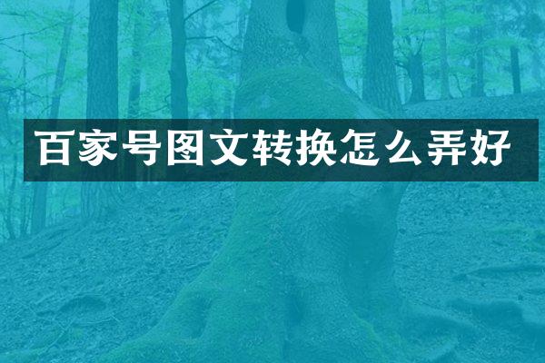 百家号图文转换怎么弄好