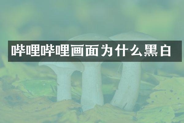 哔哩哔哩画面为什么黑白