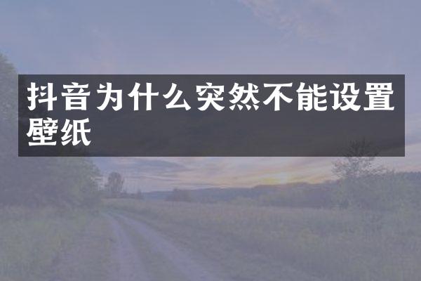 抖音为什么突然不能设置壁纸