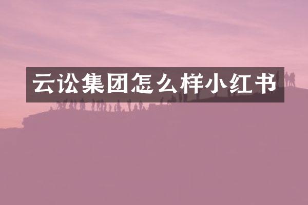 云讼集团怎么样小红书