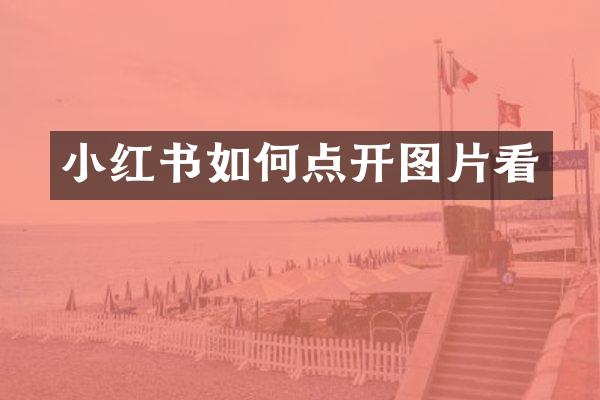 小红书如何点开图片看