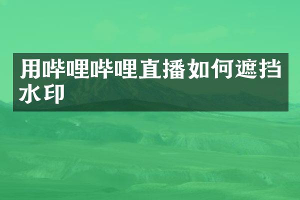 用哔哩哔哩直播如何遮挡水印