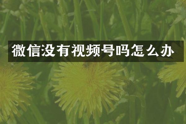微信没有视频号吗怎么办