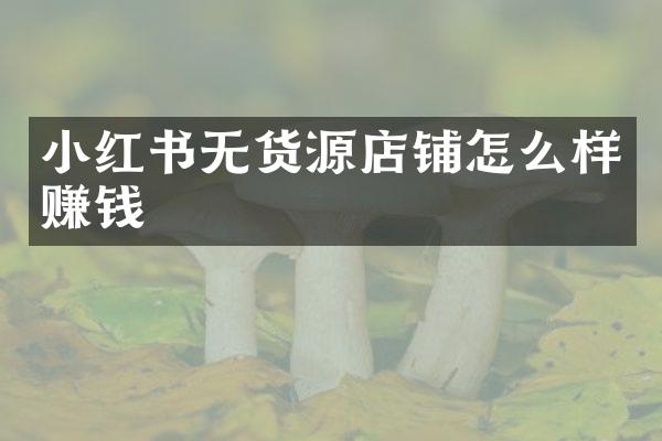 小红书无货源店铺怎么样赚钱