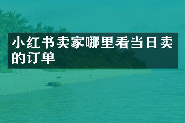 小红书卖家哪里看当日卖的订单