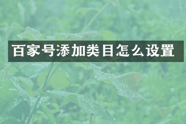 百家号添加类目怎么设置