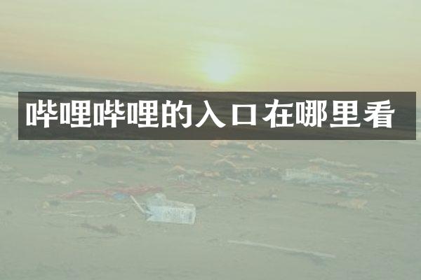 哔哩哔哩的入口在哪里看