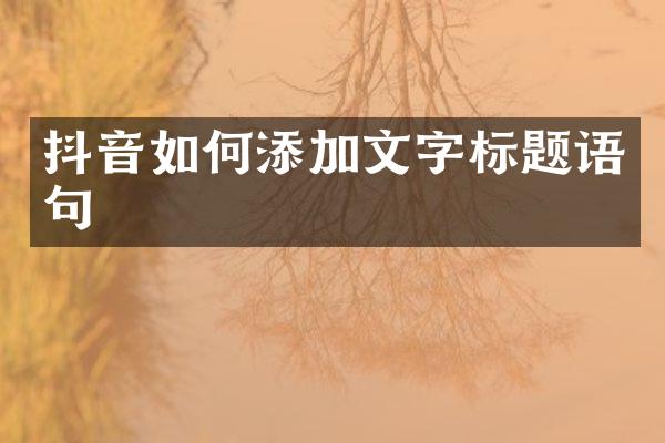 抖音如何添加文字标题语句