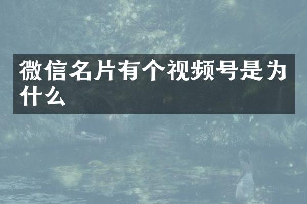 微信名片有个视频号是为什么