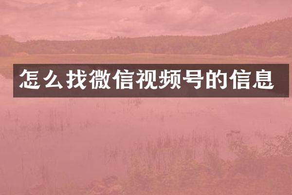 怎么找微信视频号的信息