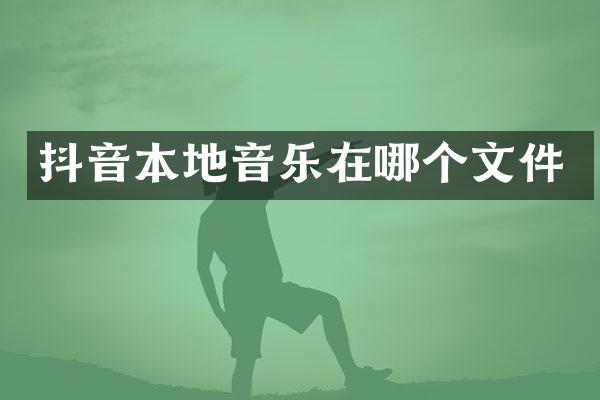 抖音本地音乐在哪个文件