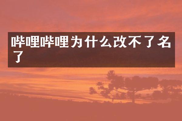 哔哩哔哩为什么改不了名了