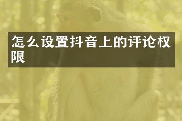 怎么设置抖音上的评论权限