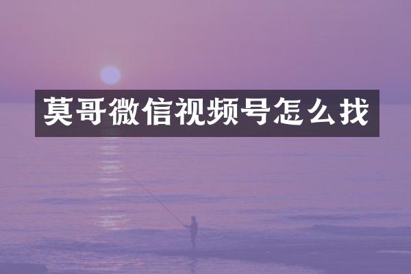莫哥微信视频号怎么找