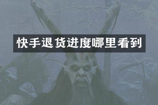 快手退货进度哪里看到