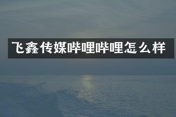 飞鑫传媒哔哩哔哩怎么样