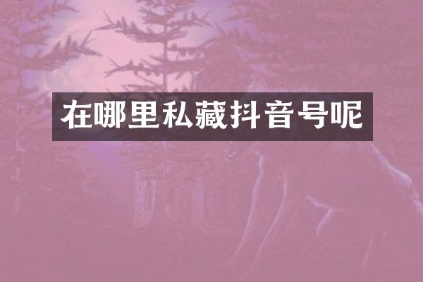 在哪里私藏抖音号呢