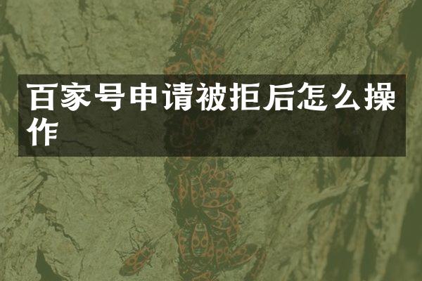 百家号申请被拒后怎么操作
