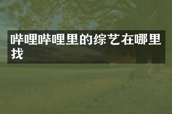 哔哩哔哩里的综艺在哪里找