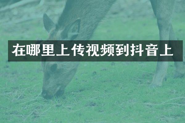 在哪里上传视频到抖音上