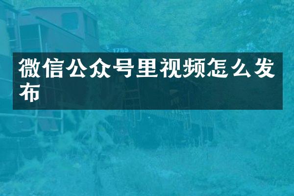 微信公众号里视频怎么发布