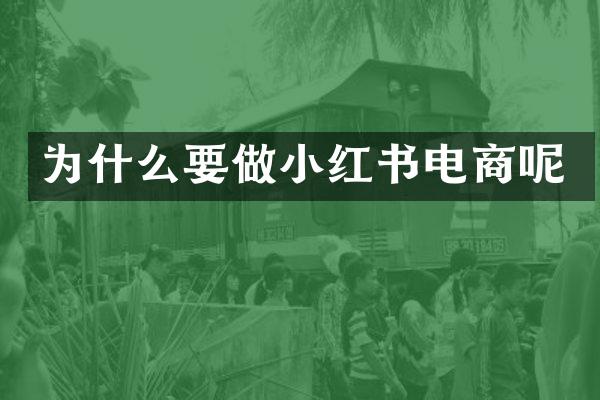 为什么要做小红书电商呢