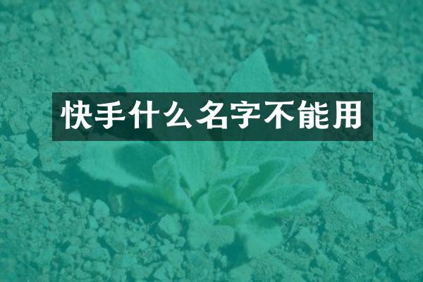 快手什么名字不能用