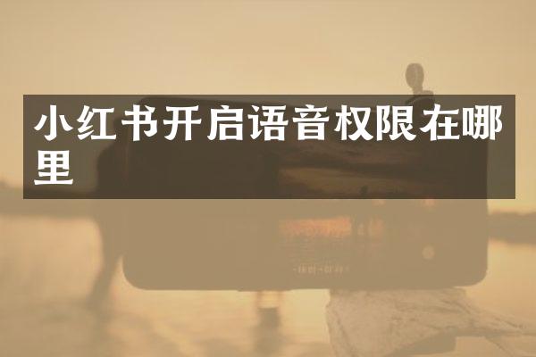 小红书开启语音权限在哪里