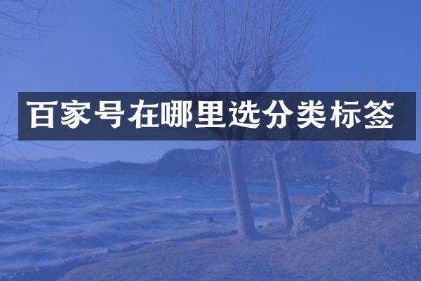 百家号在哪里选分类标签