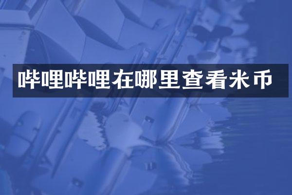 哔哩哔哩在哪里查看米币