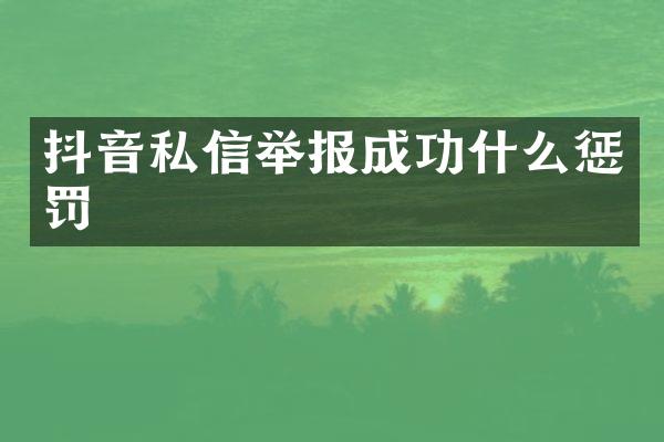 抖音私信举报成功什么惩罚