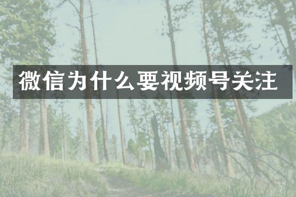 微信为什么要视频号关注