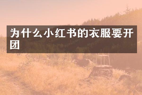 为什么小红书的衣服要开团