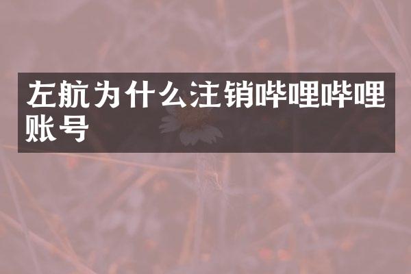 左航为什么注销哔哩哔哩账号
