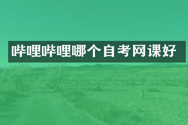 哔哩哔哩哪个自考网课好