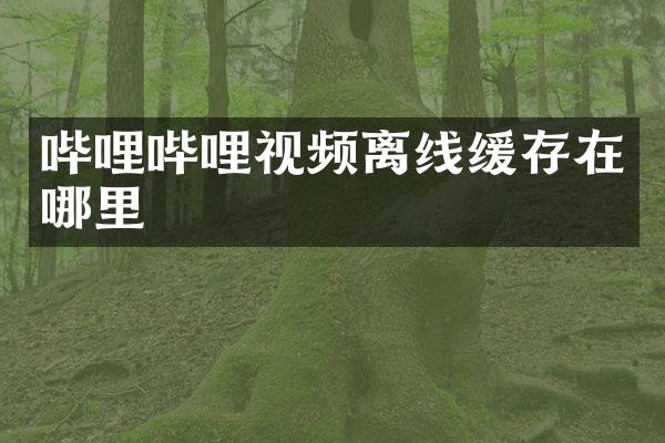 哔哩哔哩视频离线缓存在哪里
