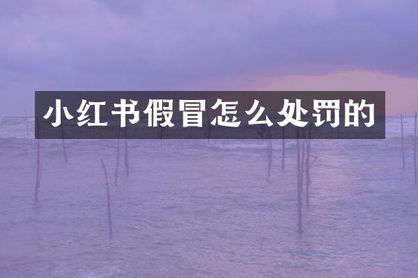 小红书假冒怎么处罚的