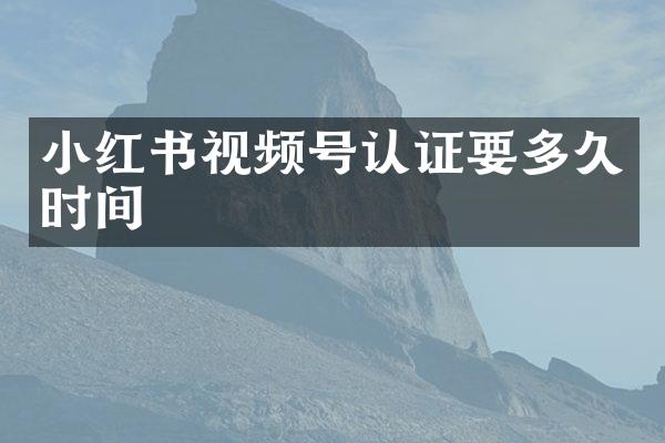 小红书视频号认证要多久时间