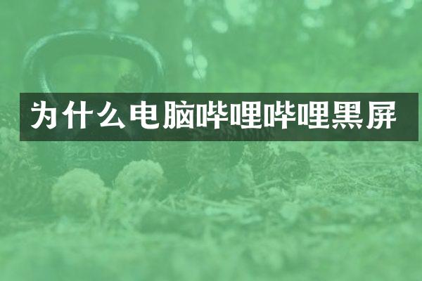 为什么电脑哔哩哔哩黑屏