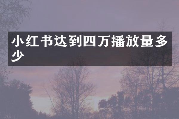小红书达到四万播放量多少