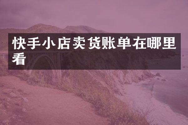 快手小店卖货账单在哪里看