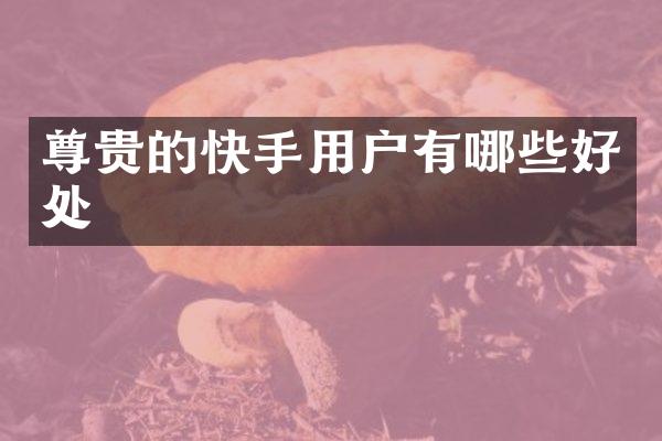 尊贵的快手用户有哪些好处