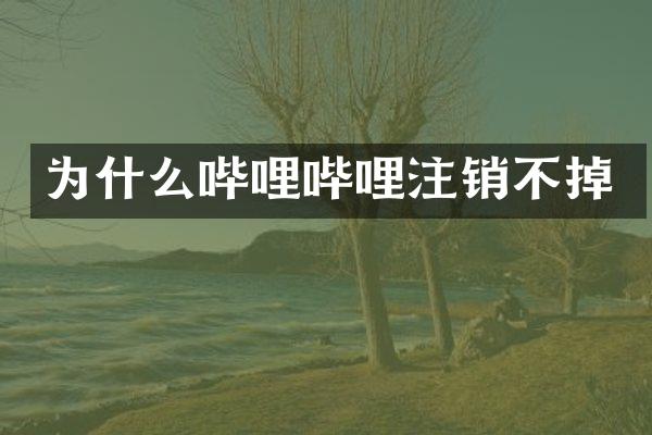 为什么哔哩哔哩注销不掉