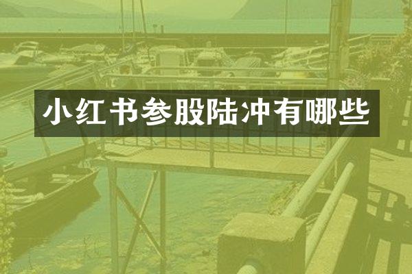 小红书参股陆冲有哪些