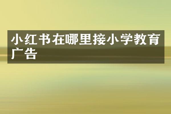 小红书在哪里接小学教育广告