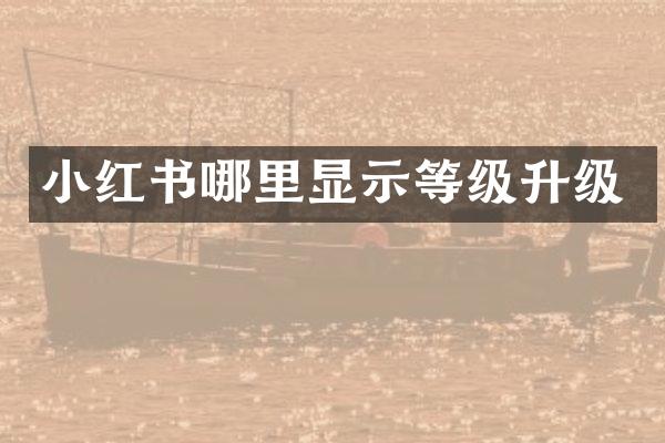 小红书哪里显示等级升级
