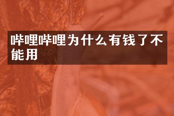 哔哩哔哩为什么有钱了不能用
