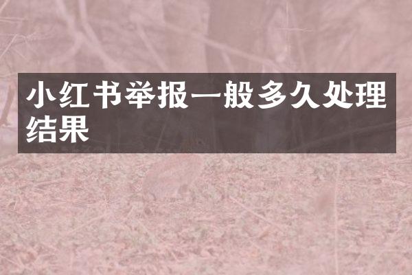 小红书举报一般多久处理结果